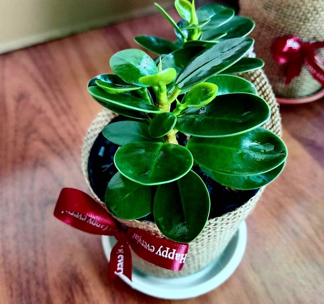 ช้อนเงินช้อนทองใบกลม ( round silver & gold spoons )