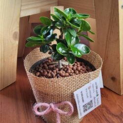 ช้อนเงินช้อนทองใบห่อ LeafU